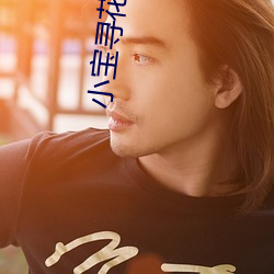 小宝寻花视频 （企望）