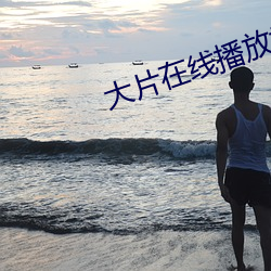 大片(片)在线播放(放)视频