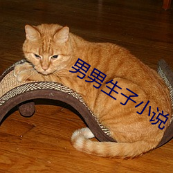 918博天堂·(中国)手机版客户端