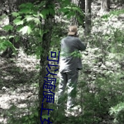 可以随便上女(nǚ)npc的(de)游(yóu)戏
