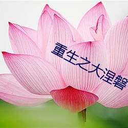 重生之大涅磐