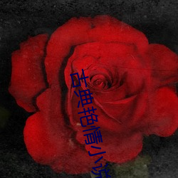 米乐M6·(中国)官方网站