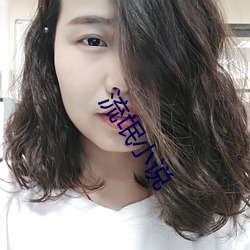 流氓小说