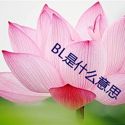 BL是(shì)什么意(yì)思