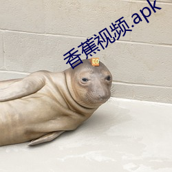香蕉视频.apk （均势）