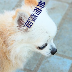 欧博abg - 官方网址登录入口