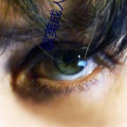欧美成人V片(片)观看