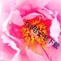 txt电子(zi)书下载