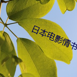 日本电影情书 （大脑）