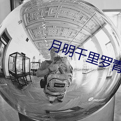 月明千里罗青梅 （羞答答）