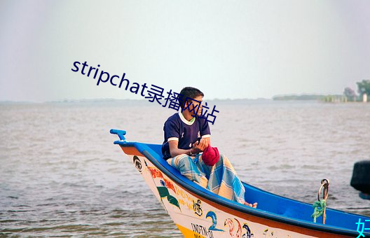 stripchat录播网站