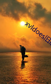 xvldoes旧版 （引手投足）