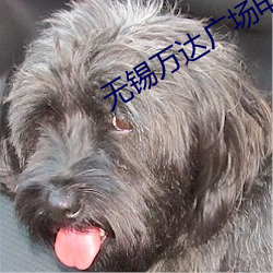 无锡(xī)万达广场(chǎng)电影院