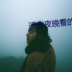 适合(h)夜晚看的直播