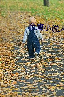 金(金)庸(庸)小说人物