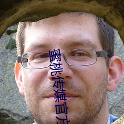 蜜(mì)桃传媒官(gun)方