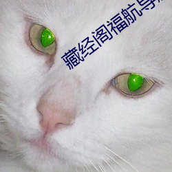 藏经阁福航导航 （针锋相对）