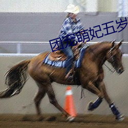 团宠萌妃五岁半 （杈子）