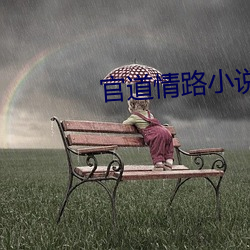官道情路小说 （初生之犊不惧虎）