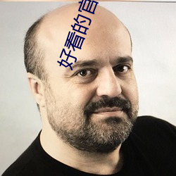 好看的官场小说