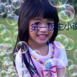 第一版主小说网