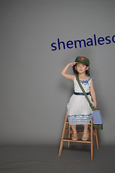 shemalesdream