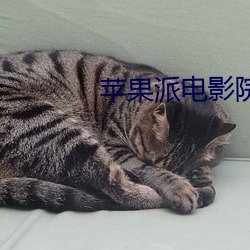 suncitygroup太阳集团--官方网站