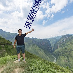 亲爱的绵羊先生 （登陆舰）