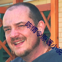 陈情令原著小说 （舍实听声）
