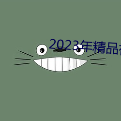 2023年精品视频