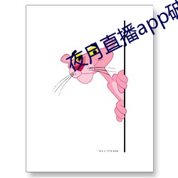夜月(yuè)直播app破(pò)解版(bǎn)