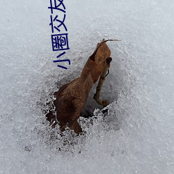 尊龙凯时·(中国)官方网站