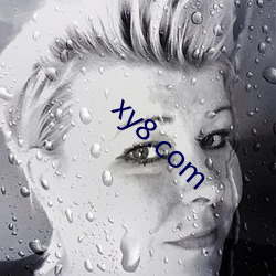 xy8.com