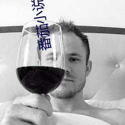 918博天堂·(中国)手机版客户端