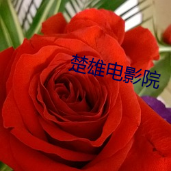 楚雄电影院
