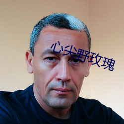 心尖野玫瑰