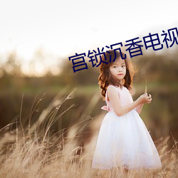 宫锁沉香电视剧高清免费观