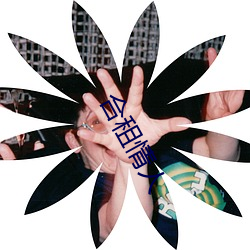 合租情人