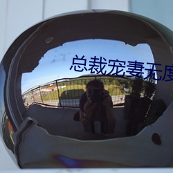 总裁(cái)宠妻无(wú)度(dù)
