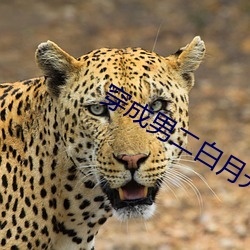 穿成男二白月(yuè)光