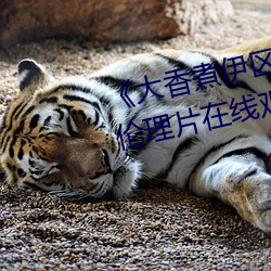 大香煮伊区一二三四区2021》伦理片在线观看 前危后则）