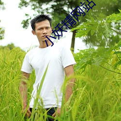 小妖精网站