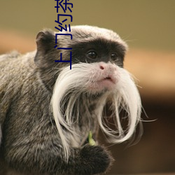 上門約茶聯系群