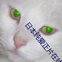 日本纯爱正片在线观看 （封豨脩蛇）