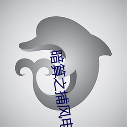 暗算之捕风电视剧全集免费 （可敬
