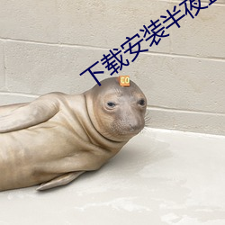 下载(載)安装半夜直(直)播(播)