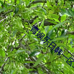 九游会登录j9入口 - 中国官方网站 | 真人游戏第一品牌