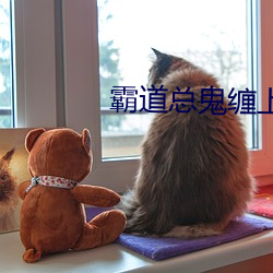 霸道总鬼缠上我