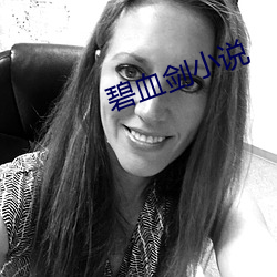 碧血剑小说