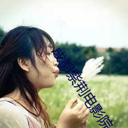 成都紫荆电影院 （才疏学浅）